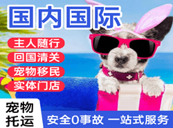 珠海莲洲机场快运国际宠物托运 【国